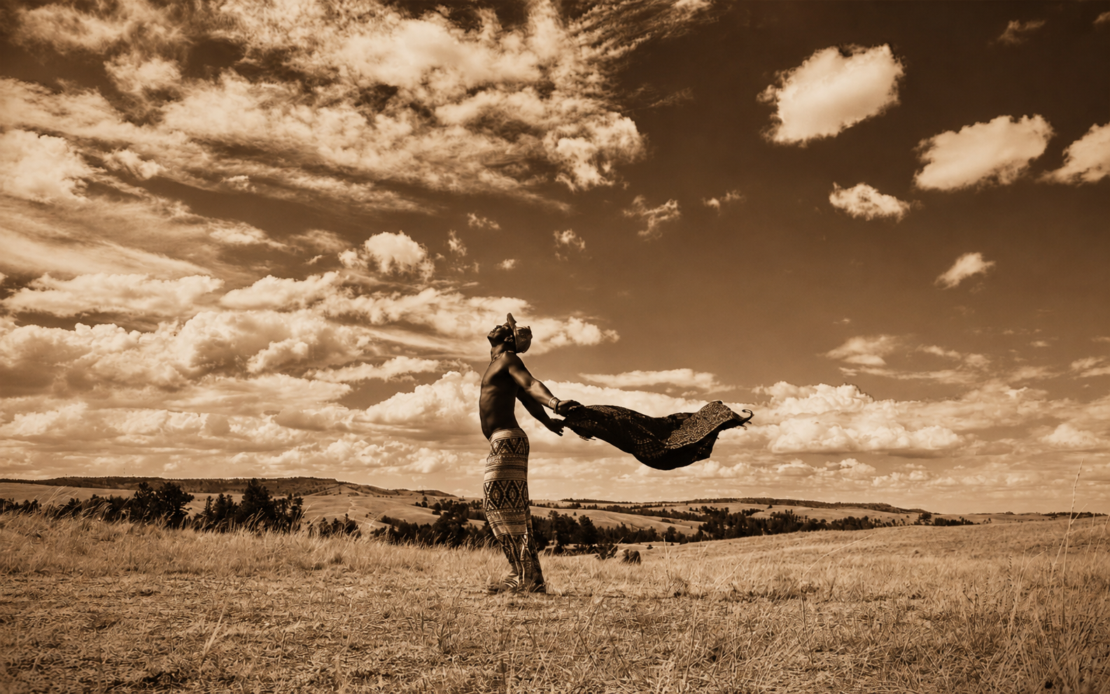 A person standing in an open grassland, holding fabric that catches the wind beneath a wide clouded sky