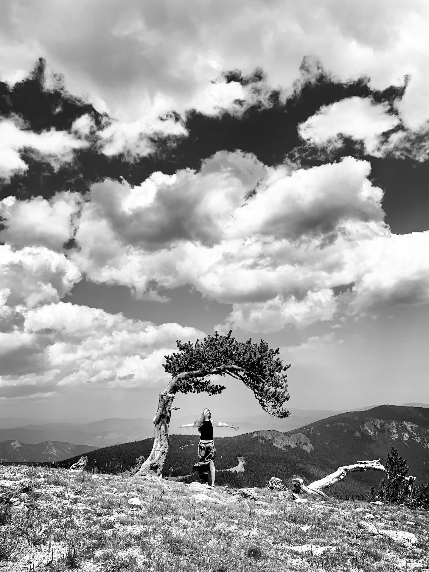 A person stands beneath a windswept tree on a mountain ridge, arms open to the sky